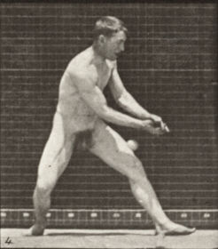 Plate 288 Baseball, error — figure reference